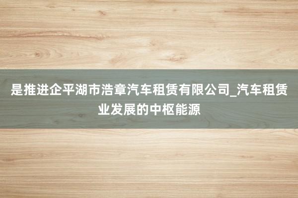 是推进企平湖市浩章汽车租赁有限公司_汽车租赁业发展的中枢能源